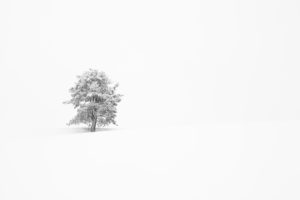 Montier Photo Festival