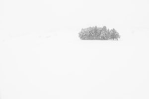 Montier Photo Festival