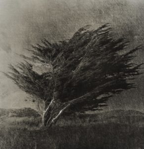 Alter Ego 3 - © Dominique TIBERI