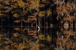 Montier Photo Festival