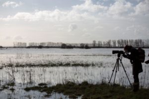 Marais blancs - PNRMCB