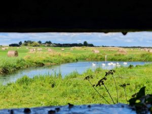 Réserve Naturelle Nationale du Domaine de Beauguillot - PNRMCB