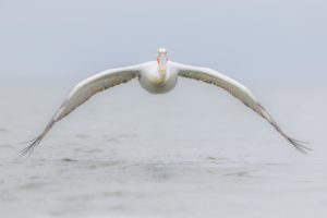 Montier Photo Festival