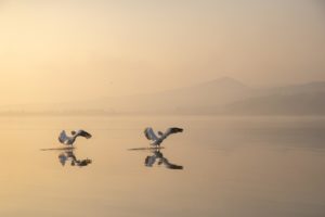 Montier Photo Festival