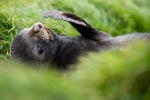 Montier Photo Festival