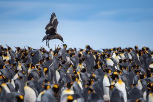Montier Photo Festival