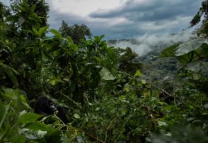 Montier Photo Festival