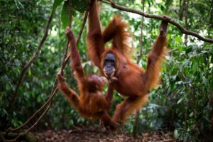 Montier Photo Festival