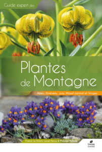 Montier Photo Festival