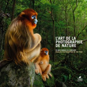 Montier Photo Festival