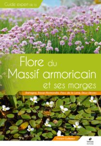 Montier Photo Festival