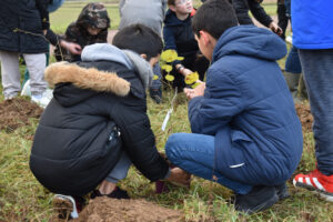 Plantation d'une haie champêtre sur un terrain communal par des scolaires (projet Life Biodiv'Est) - Thomas FERRARI