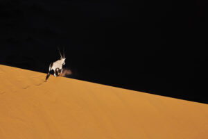 Namibie - Eric Le Go