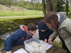 Animation Club Nature - les petites bêtes du cours d'eau - Marie DE SAINTE MARESVILLE