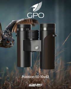 GPO Passion - MMF-Pro