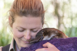 Jess Thomas et un ornithorynque, Healesville - Sabine Bernert