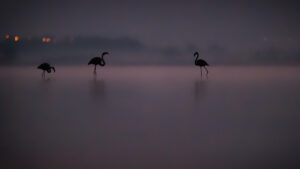 Promesse d'un jour nouveau - © Karina Delbos
