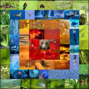 Naturagency fête ses 10 ans ! - © naturagency