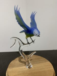 mésange - rhenald lecomte