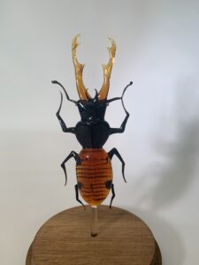 lucane - rhenald lecomte