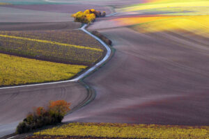 Chemin d'automne - cPrudhomme@