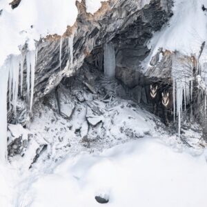 A l'abri de l'hiver - Jérémy Nourrisson