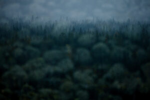 Haunter of the Woods#2 - Jonathan Lhoir