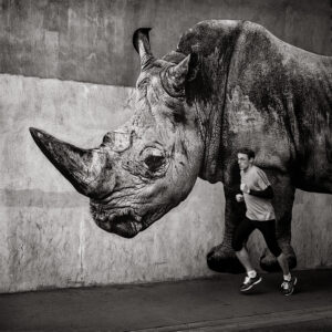 Le Rhinocéros à Brétigny sur Orge - @sonac