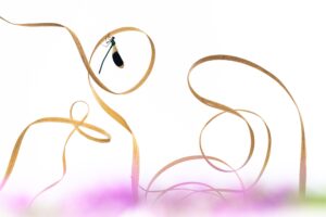 Serpentin - Copyright LaurentFIOL
