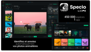 Specio, Reconnaissance animale automatique - CYME.io