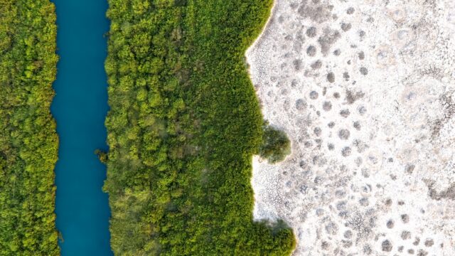 Entre sel et terre - Rosario TUMBARELLO