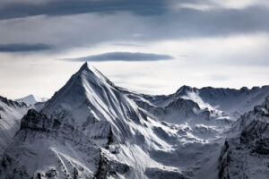 Le monde blanc - Thibault Le Fur