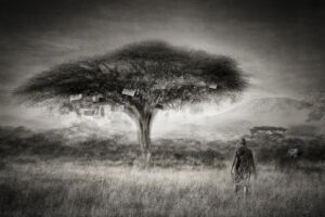 To bee or not to bee - @Anne-Marie Etienne Photographe