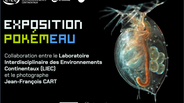Pokém’EAU – Observez-les tous !