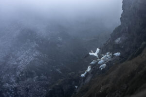 La colonie du brouillard - @antoinelavorel
