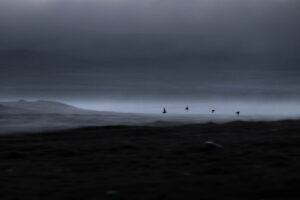 Vent de nuit - @antoinelavorel