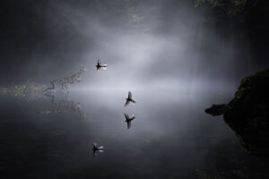 Au dessus des eaux claires - @antoinelavorel