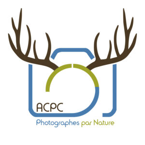 Regards nature