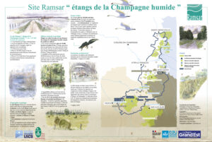 Exposition Ramsar ECH - Pascal Bourguignon, Jean Chevallier et Stéphane Hette