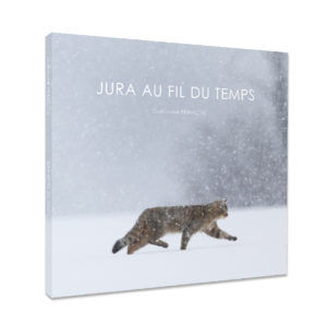 Montier Photo Festival