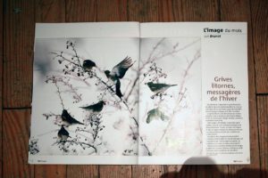 Montier Photo Festival