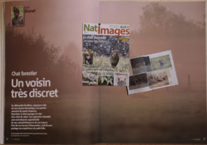 Montier Photo Festival