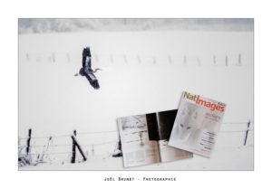 Montier Photo Festival