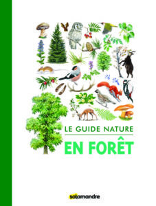 Montier Photo Festival