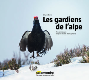Montier Photo Festival