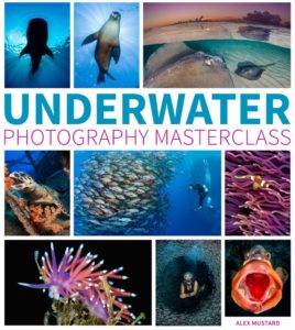 Montier Photo Festival