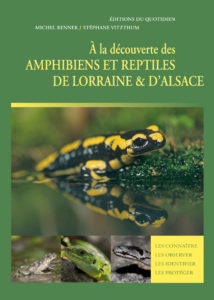 Montier Photo Festival