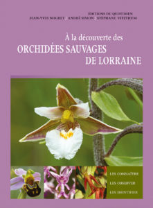 Montier Photo Festival