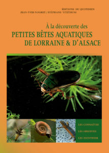 Montier Photo Festival