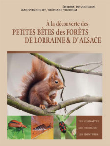 Montier Photo Festival